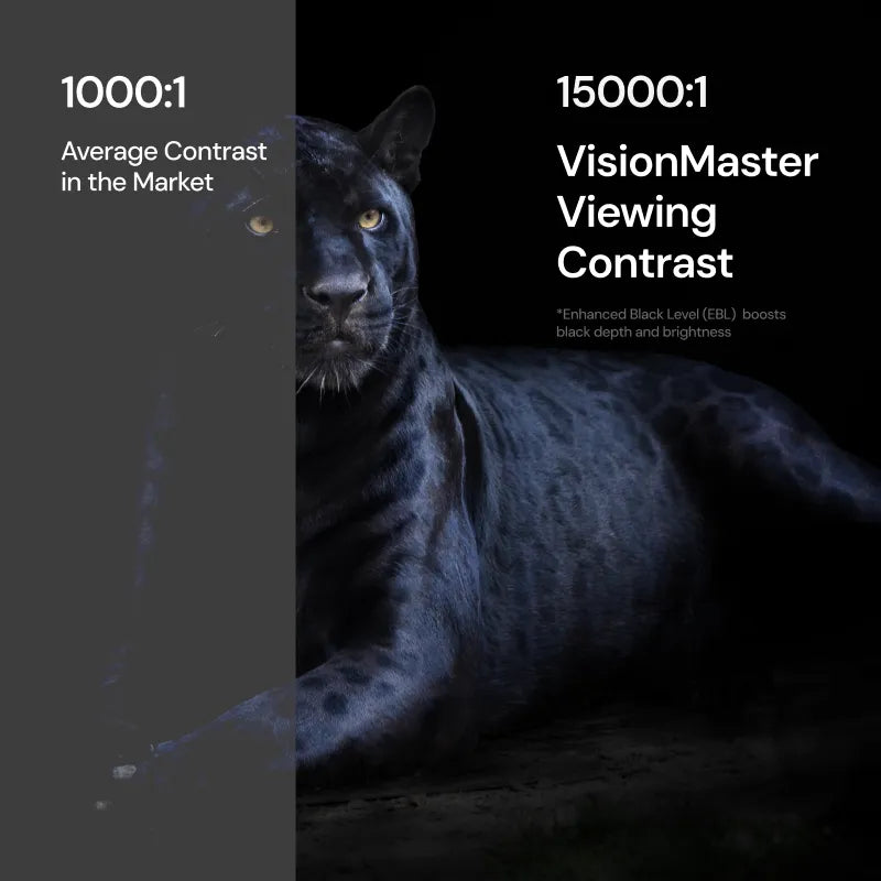 Valerion VisionMaster Pro 2 & Pro | 4K RGB Triple Laser Projektor